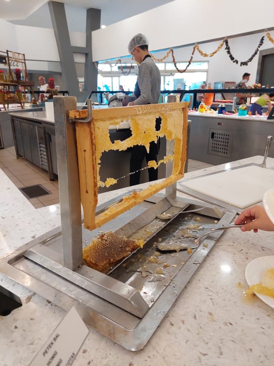 Gastro Crystal Paraiso Aqua Collection