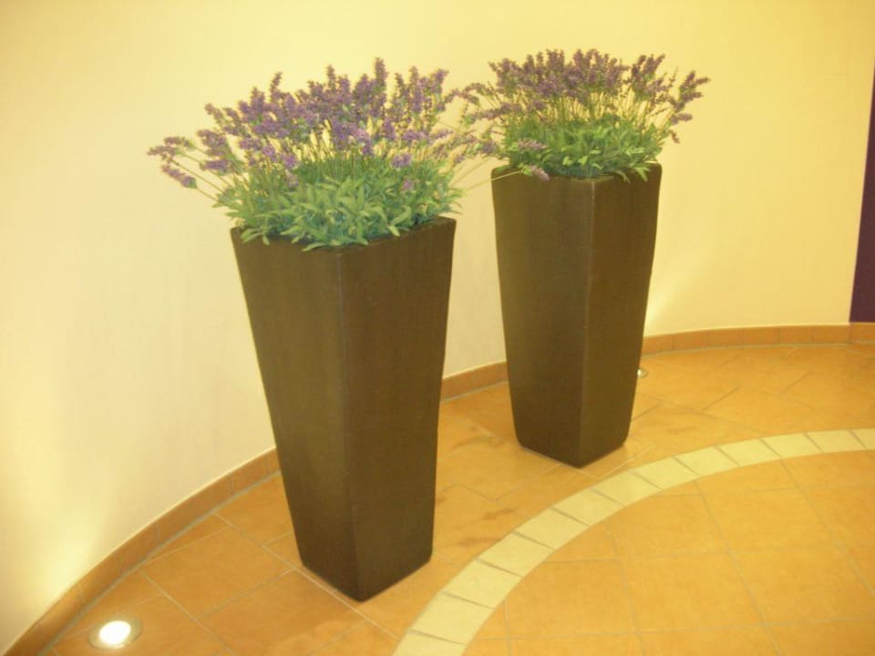 Deko im Wellnessbereich Best Western Premier Castanea Resort Hotel