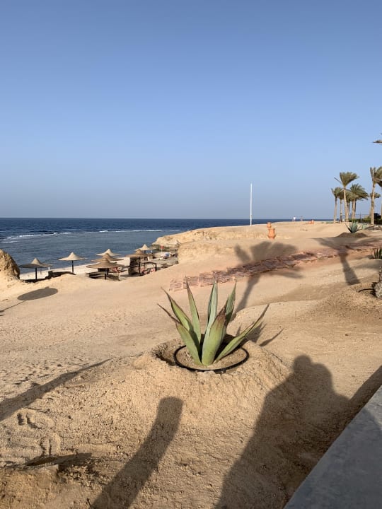 Strand Jaz Solaya