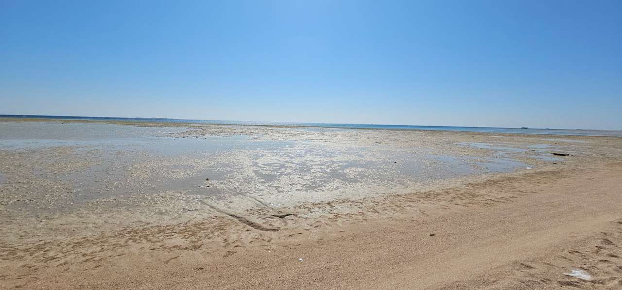 Strand JAZ Elite Asteria