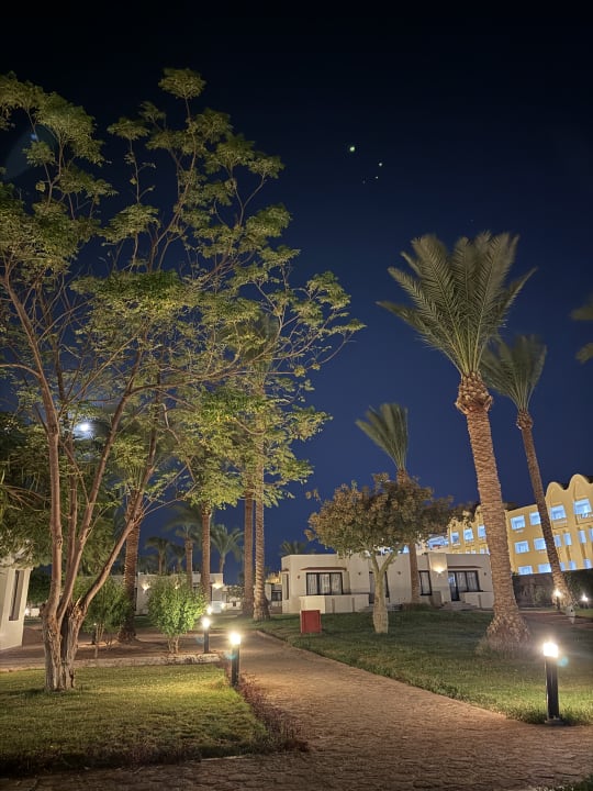 Gartenanlage Pharaoh Azur Resort