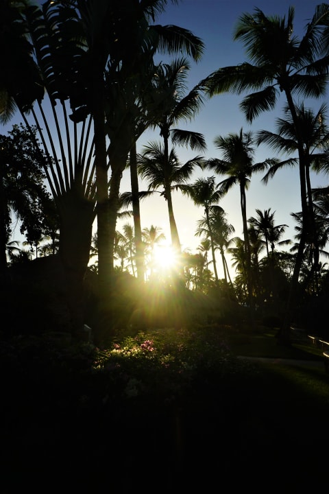 Gartenanlage Hotel Viva Dominicus Beach by Wyndham - All Inclusive Resort