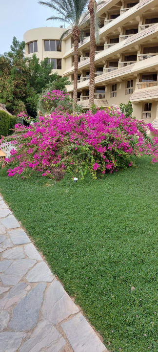 Gartenanlage Sindbad Club