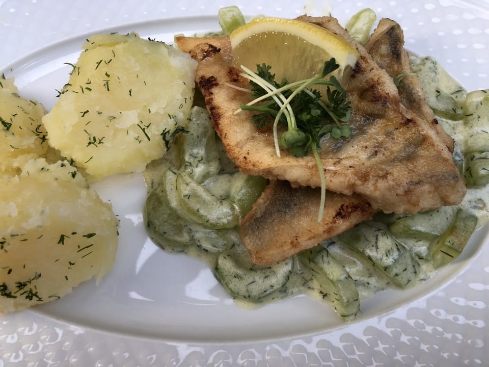 Gastro Hotel Luther Birke Wittenberg