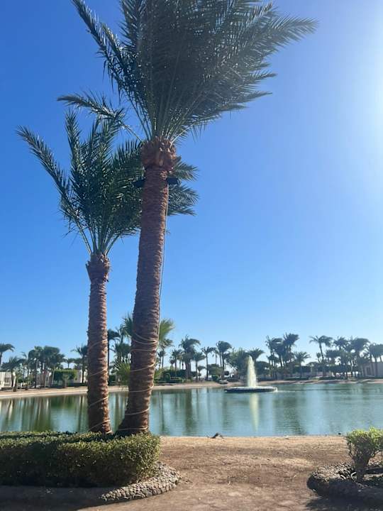 Gartenanlage Pharaoh Azur Resort