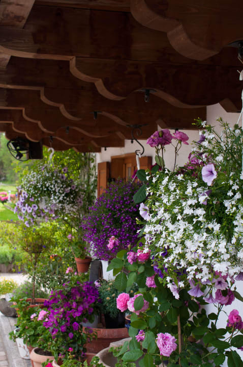 Blumenpracht Ferienwohnung Seidl