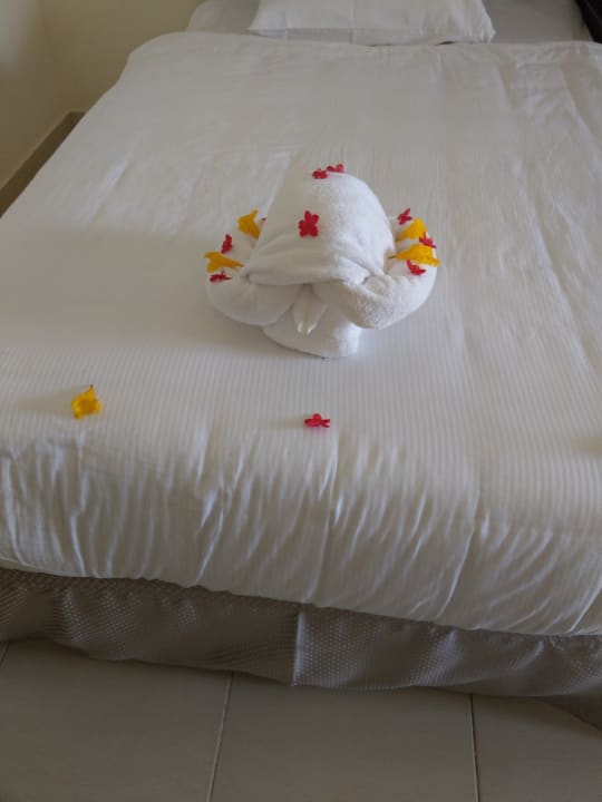 Zimmer Serenity Alpha Beach