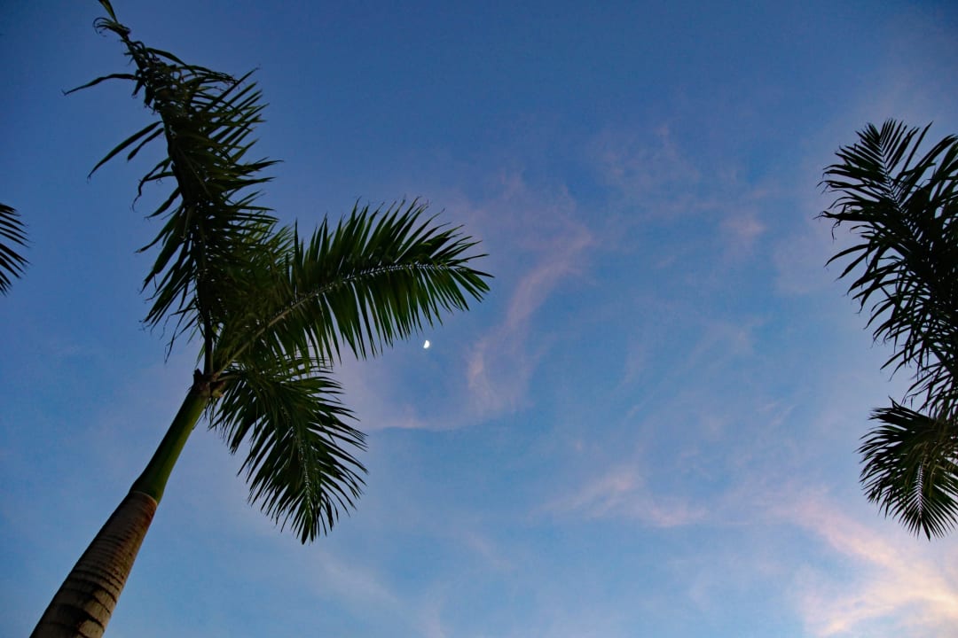 Ausblick Bahia Principe Grand Samana - Adults Only