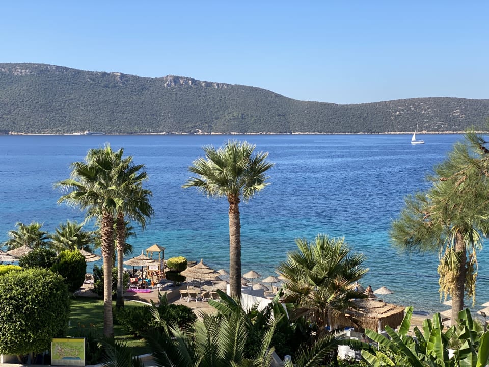 Gartenanlage TUI MAGIC LIFE Bodrum - Adult Only (16+)