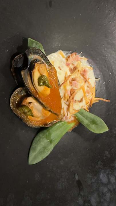 Gastro Serendipity Country House