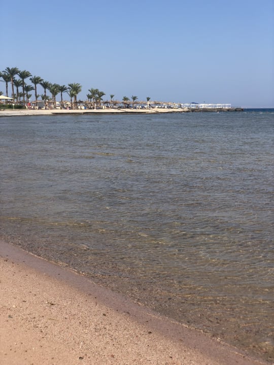 Strand Pickalbatros Palace Resort