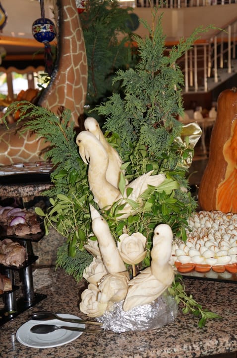 Sprachlos Hotel Orfeus Park