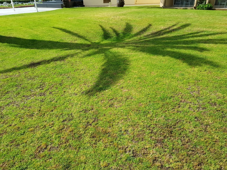 Gartenanlage Iberostar Waves Averroes