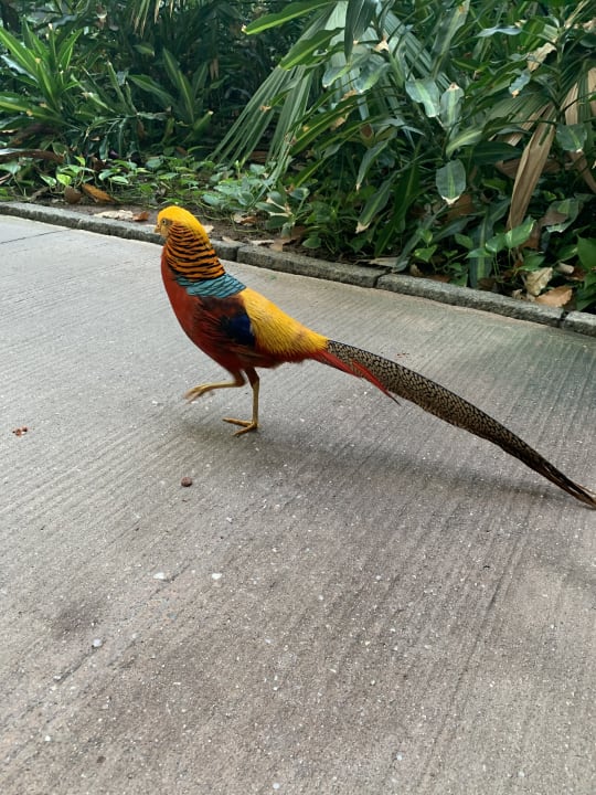 Garten Tropical Islands Resort