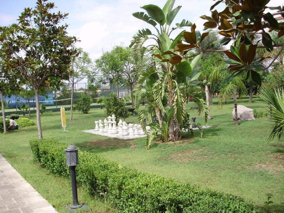 Schach TUI BLUE Palm Garden