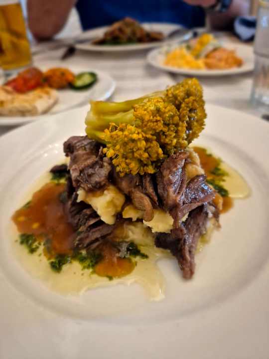 Gastro Seashell Vega