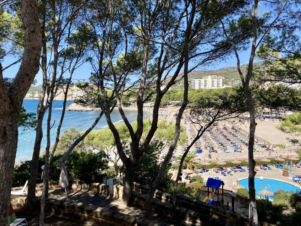 Ausblick Universal Hotel Lido Park & Spa