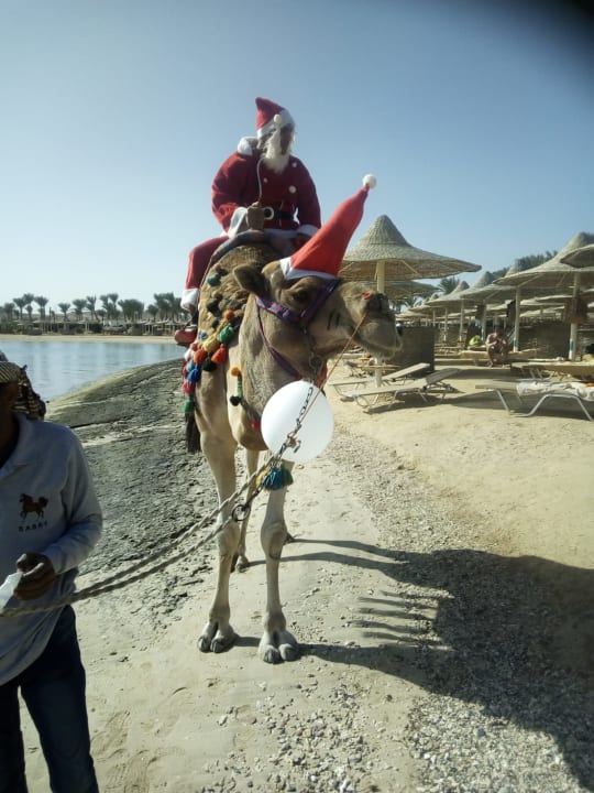 Strand Steigenberger Coraya Beach - Adults only