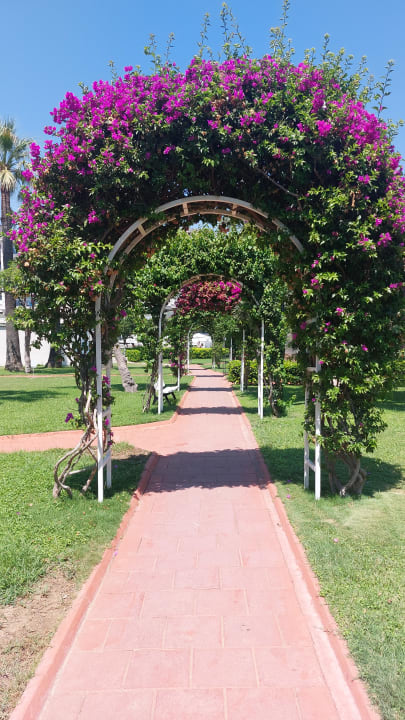 Gartenanlage Seher Kumköy Star Resort & Spa