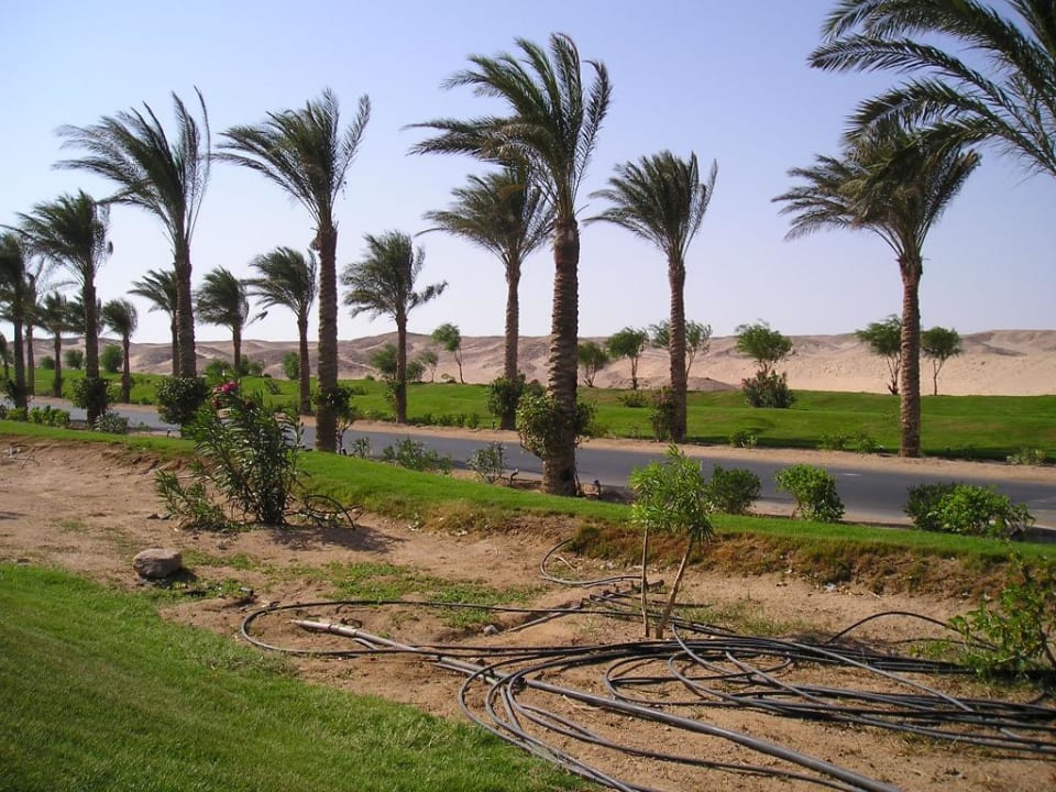 Straße durch die Wüste zum Hotel Jaz Makadi Oasis Resort