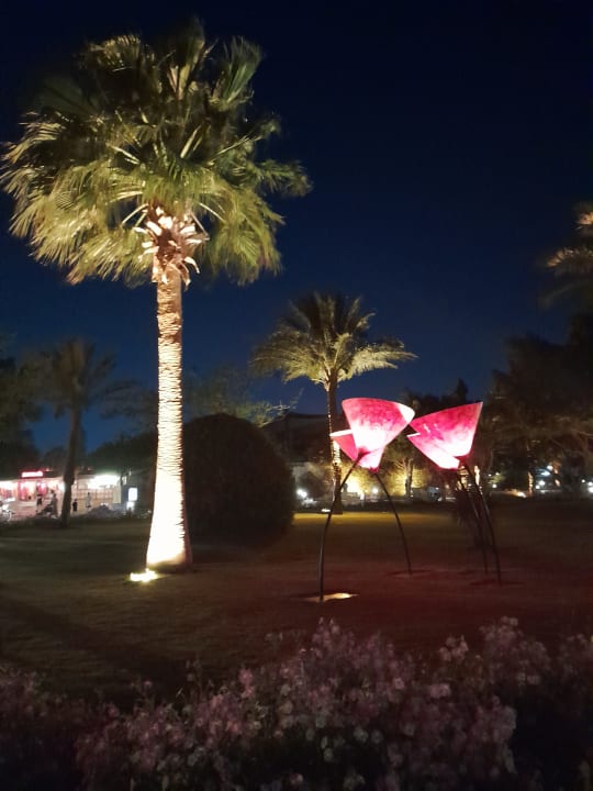 Gartenanlage Desert Rose