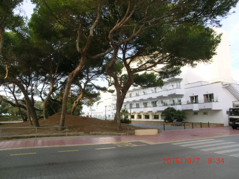 Von der bushaltestelle Grupotel Acapulco Playa - Adults Only