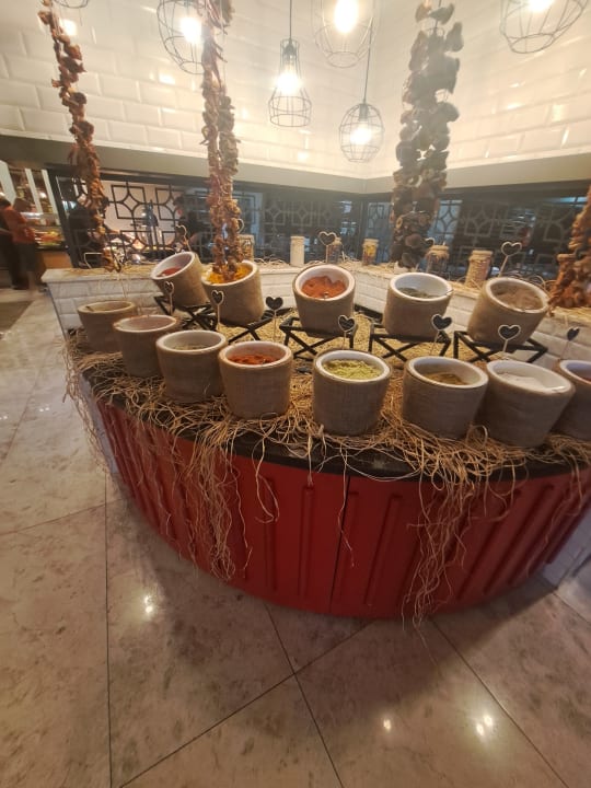 Gastro Seashell Vega