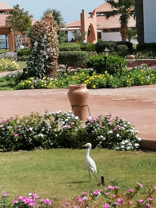 Ausblick Three Corners Equinox Beach Resort