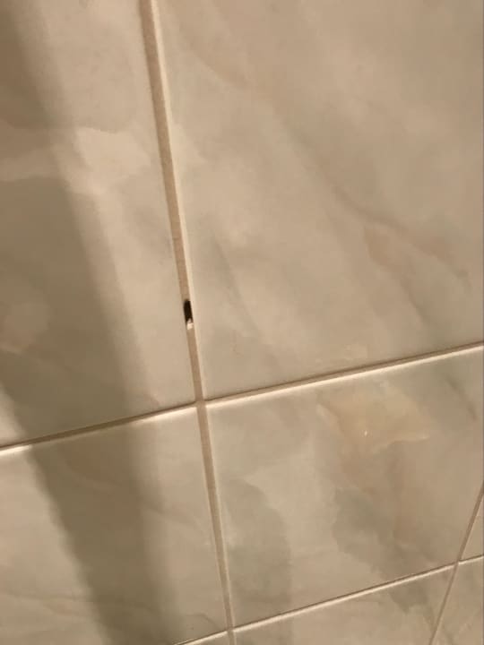 Zimmer Hotel Enziana Wien