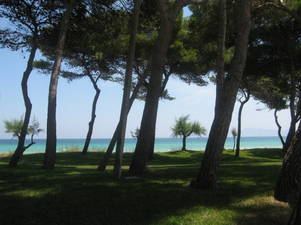 Blick vom Garten Richtung Meer Iberostar Waves Playa de Muro