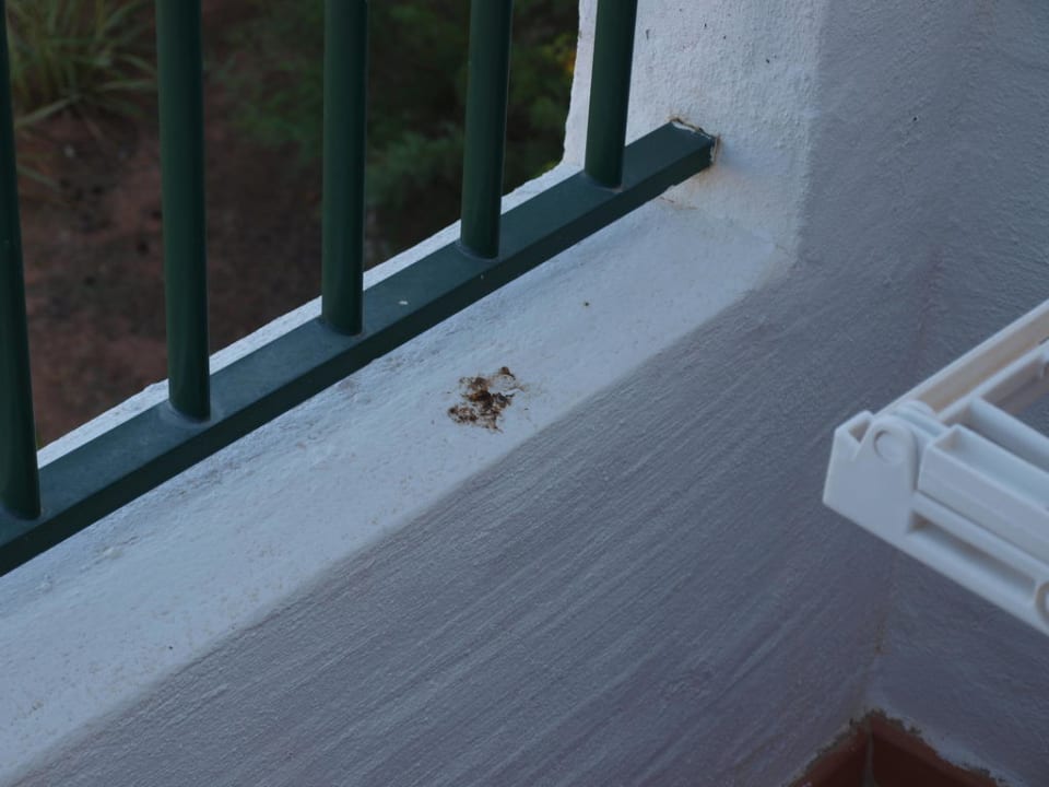 Balkon Moon Dreams Marina Parc