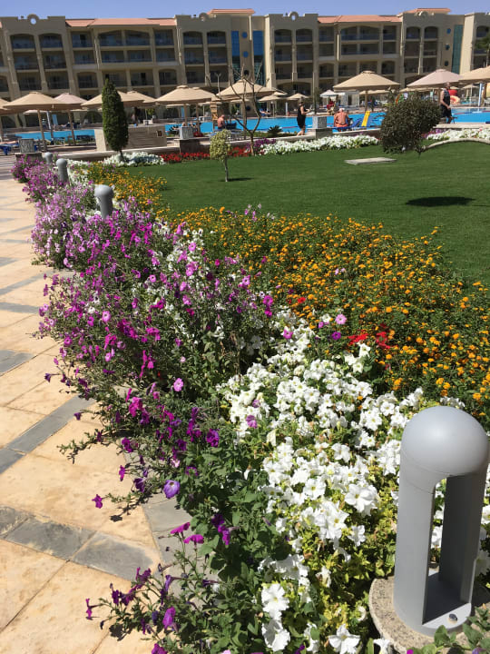 Gartenanlage Pickalbatros White Beach Resort - Hurghada