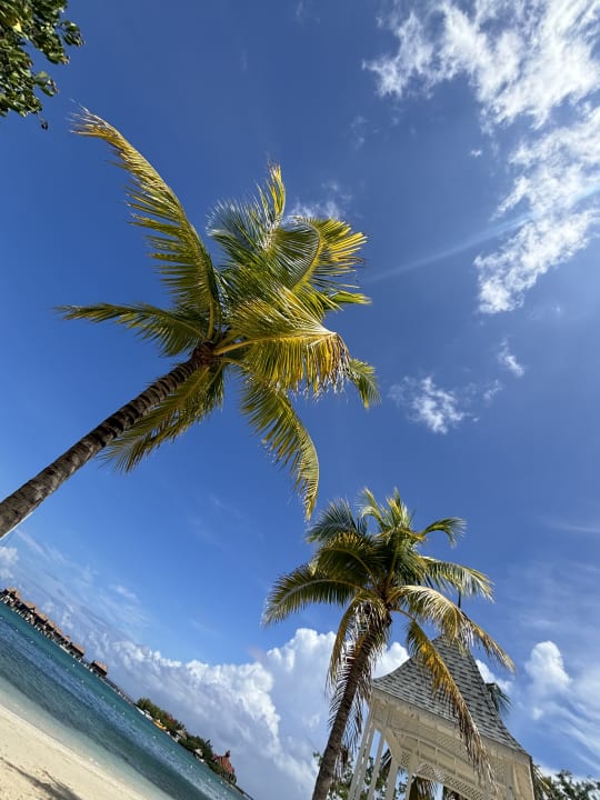Strand Riu Montego Bay - Adults Only