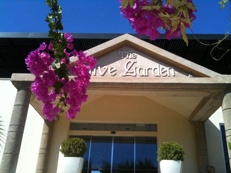 Eingang Olive Garden Olive Garden Hotel