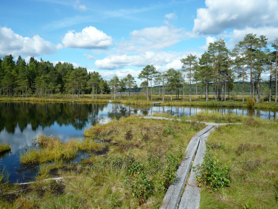 Am See unten Ferienanlage Säfsen