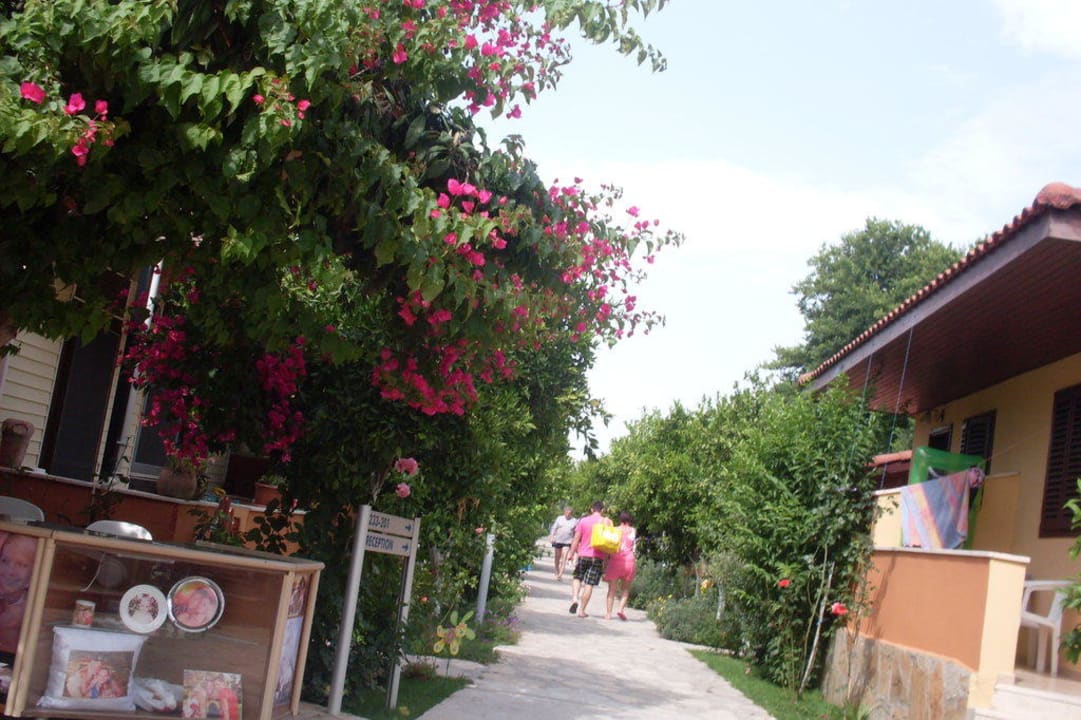 Weg zum Restaurant & Strand Özlem Garden Hotel