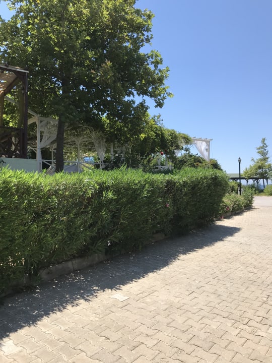 Ausblick Anadolu Hotels Didim Club