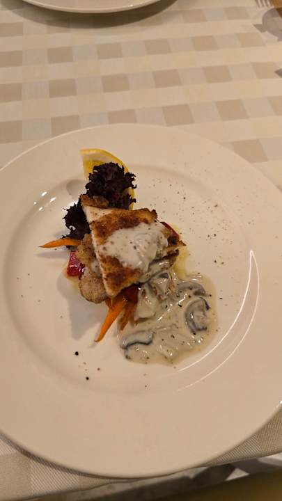 Gastro Seashell Vega