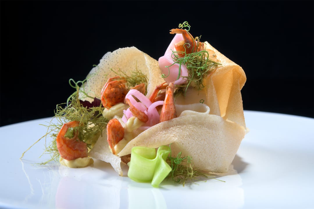 Gastro Elysium Resort & Spa Hotel