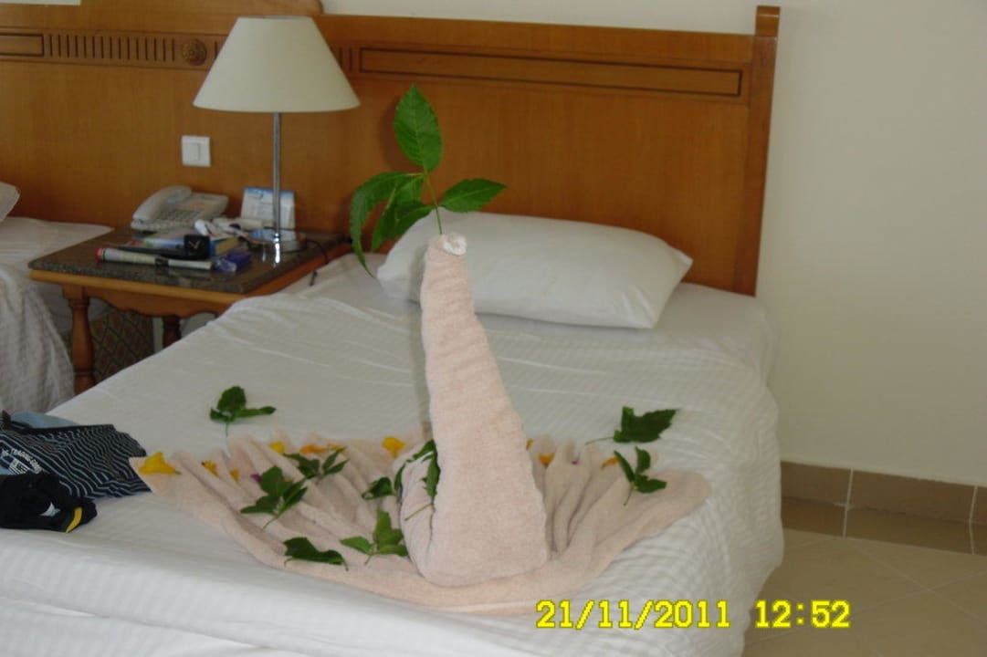 Schwan Pickalbatros Dana Beach Resort - Hurghada