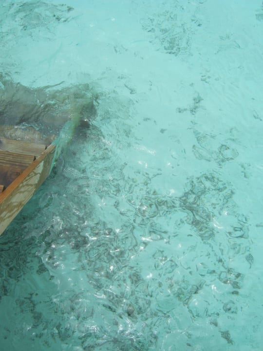 Treppe zum Meer Vilamendhoo Island Resort & Spa