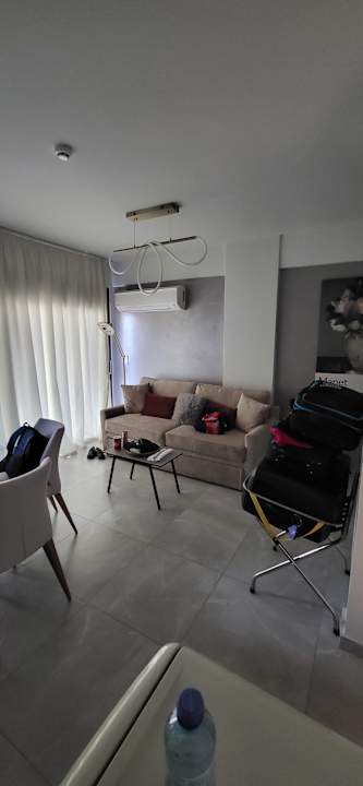 Zimmer THE Rooster’s Egg