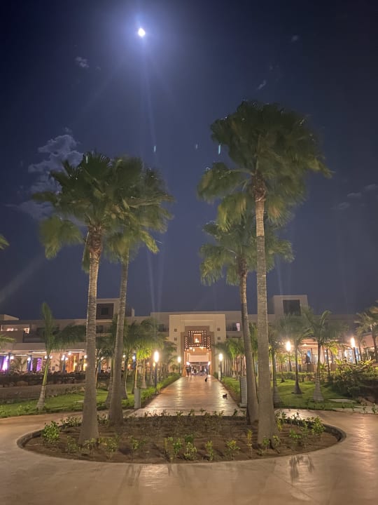 Gartenanlage Hotel Riu Palace Boavista
