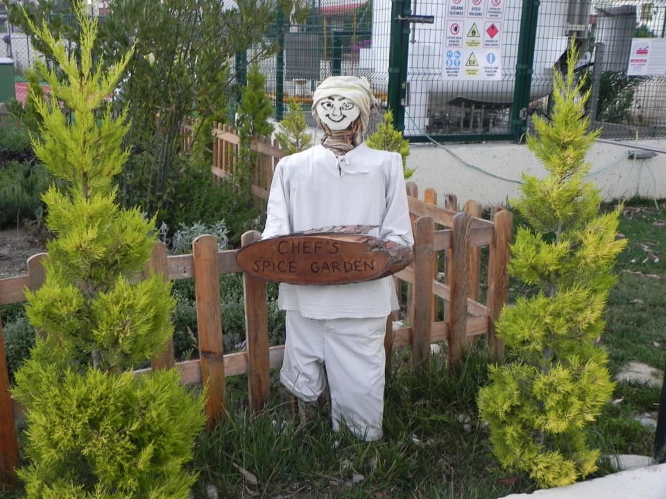 Kräutergarten Paloma Pasha