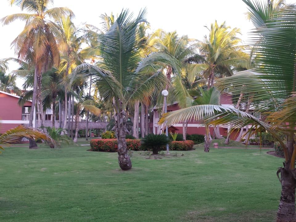 Hotel Grand Palladium Palace Resort, Spa & Casino Hotel Grand Palladium Palace Resort, Spa & Casino