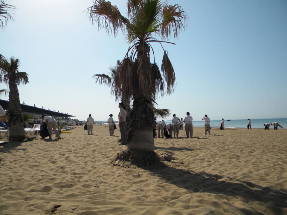 Reinigung des Strandes Club Grand Side