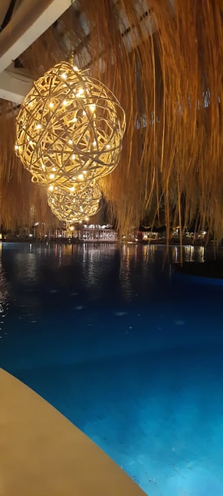 Ausblick Desert Rose