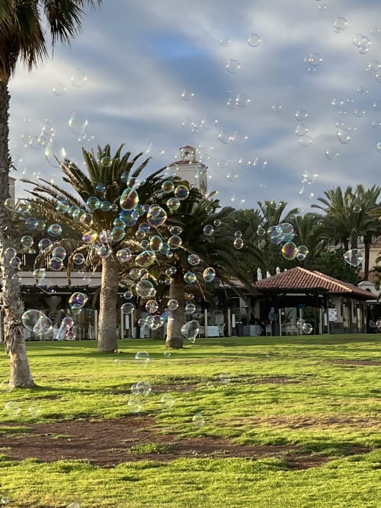 Gartenanlage Hotel Riu Palace Oasis