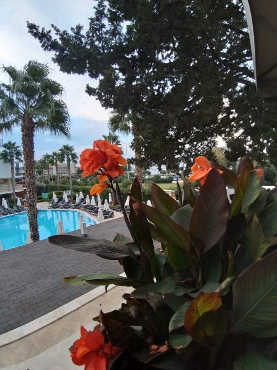 Ausblick TUI BLUE Barut Andız - All Inclusive - Adults Only