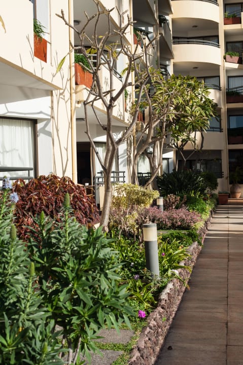 Die ebenerdigen Zimmer Suite Hotel Eden Mar - PortoBay